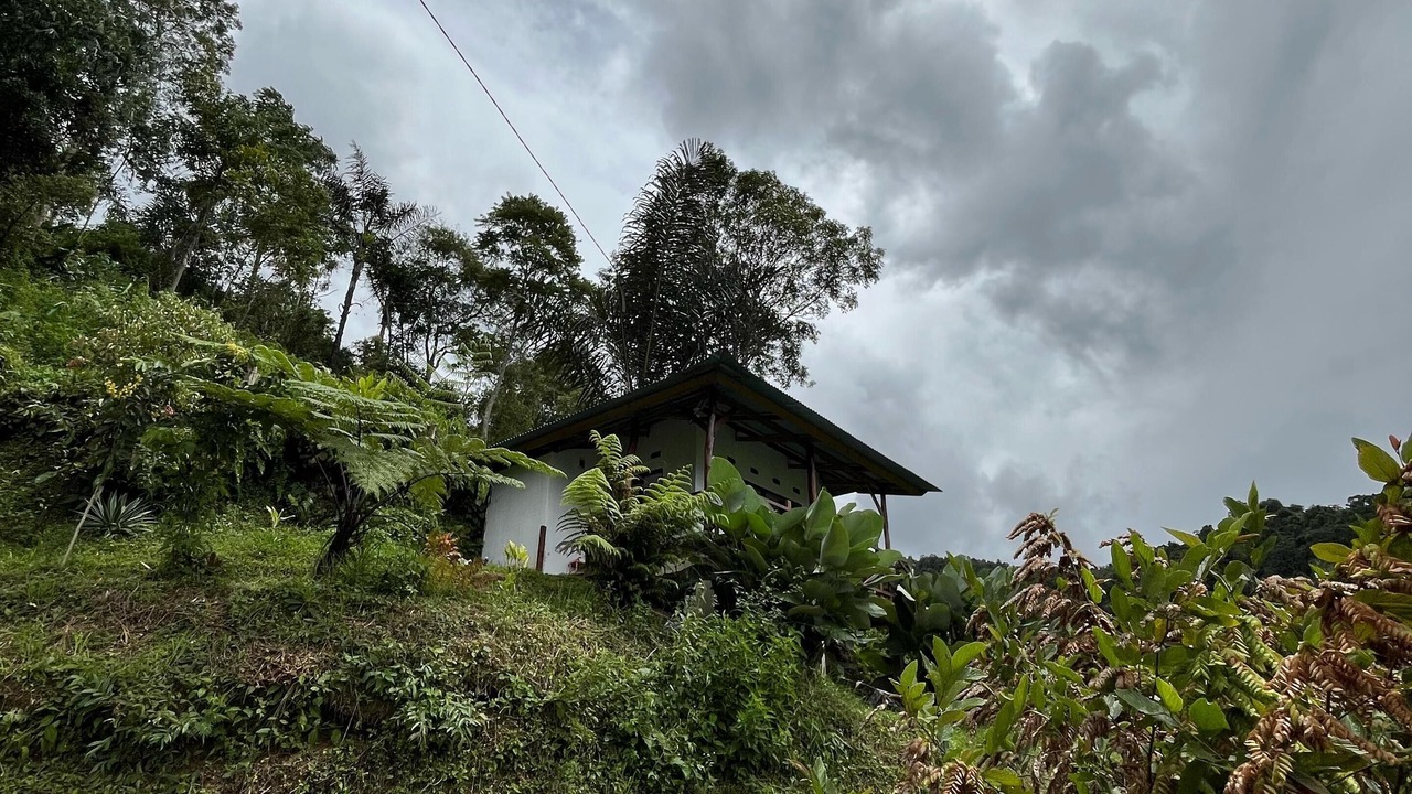 Photo of Outdoor in Sumatra