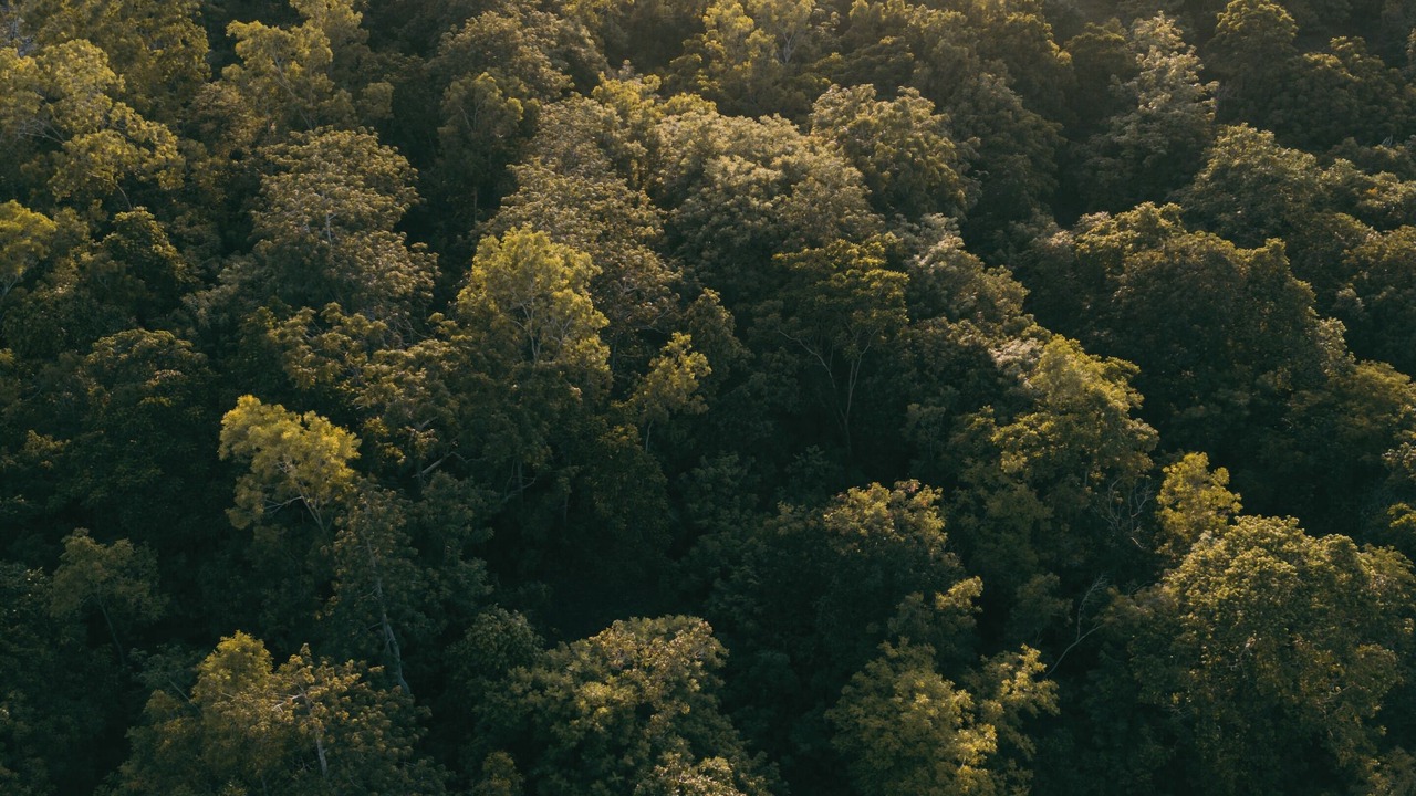 Photo of Outdoor in Pecatu