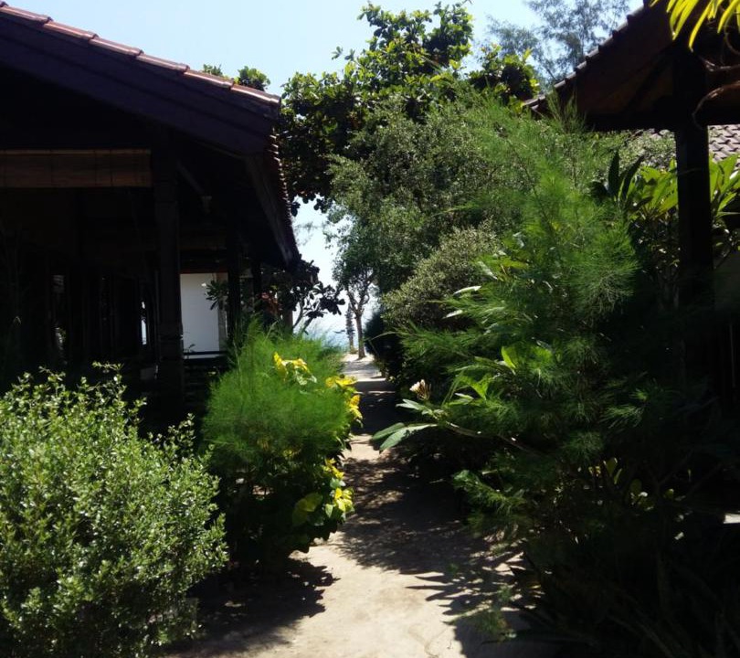 Photo of Others in Gili Meno