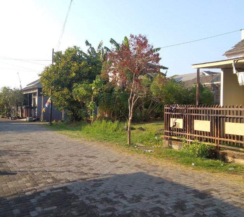 Photo of Others in Jepara