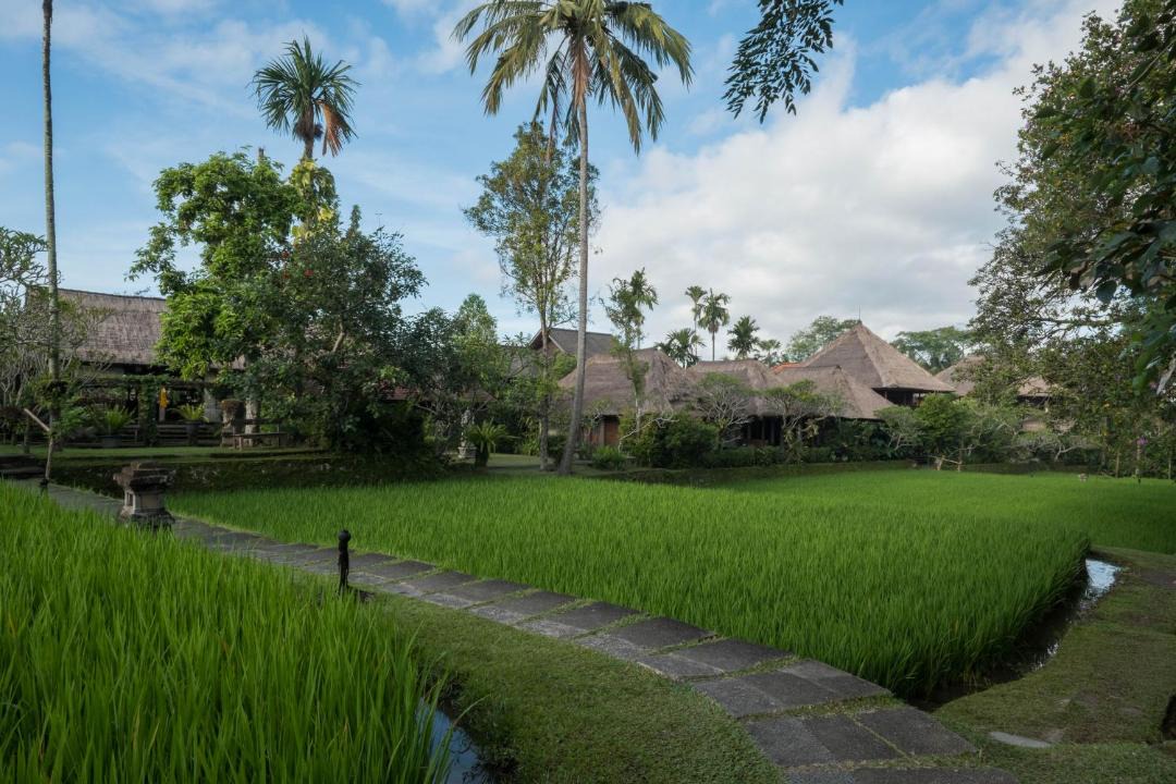 Photo of Others in Kedewatan