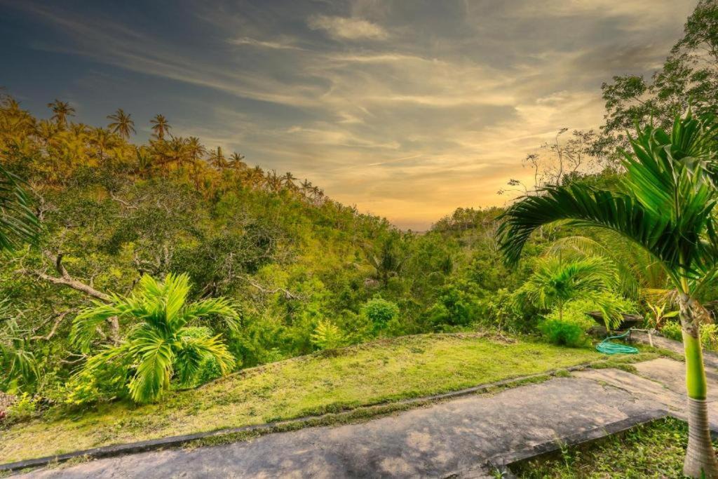 Photo of Others in Penida Island