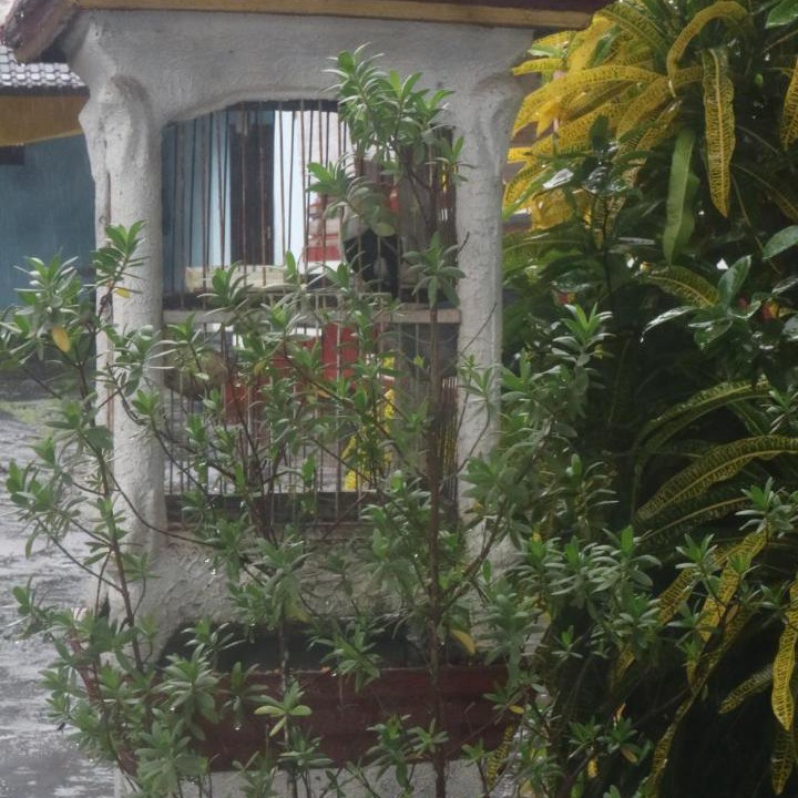 Photo of Others in Purwakarta