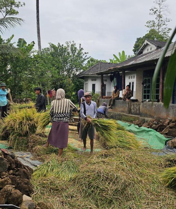 Photo of Others in Tetebatu