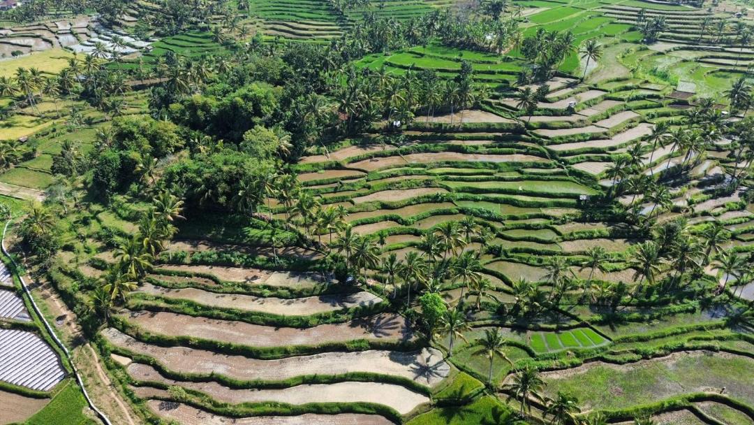 Photo of Others in Tetebatu