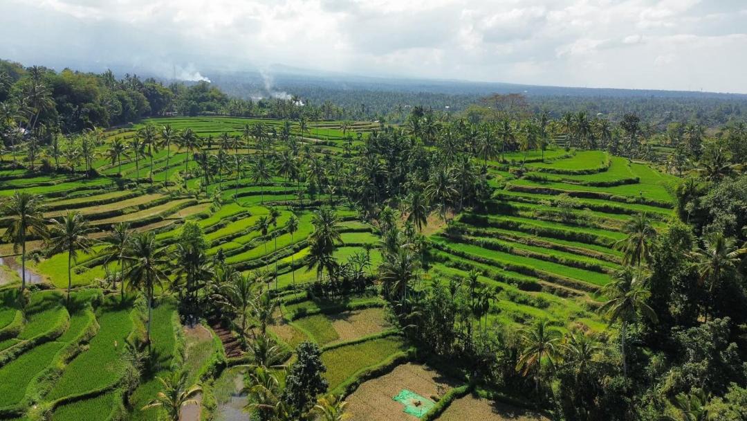 Photo of Others in Tetebatu