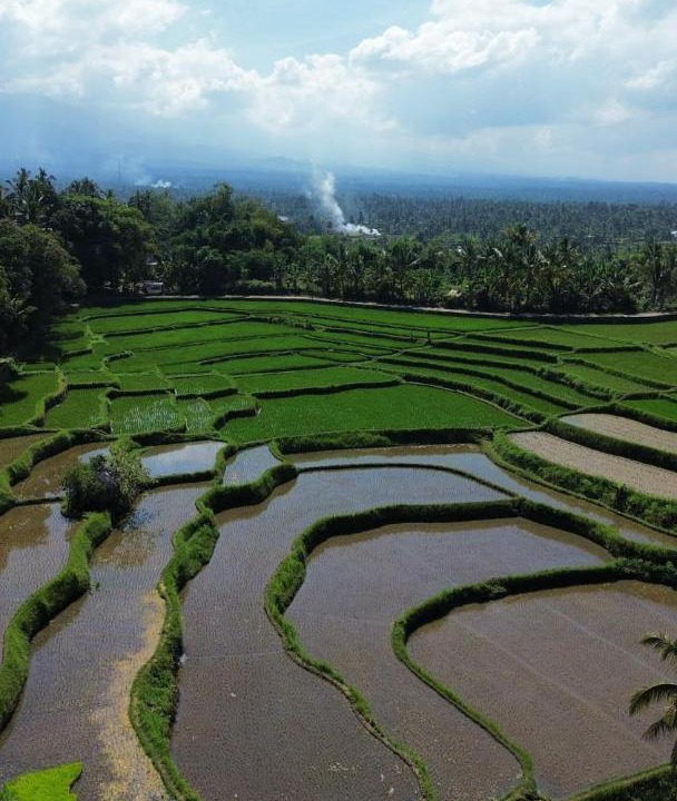 Photo of Others in Tetebatu