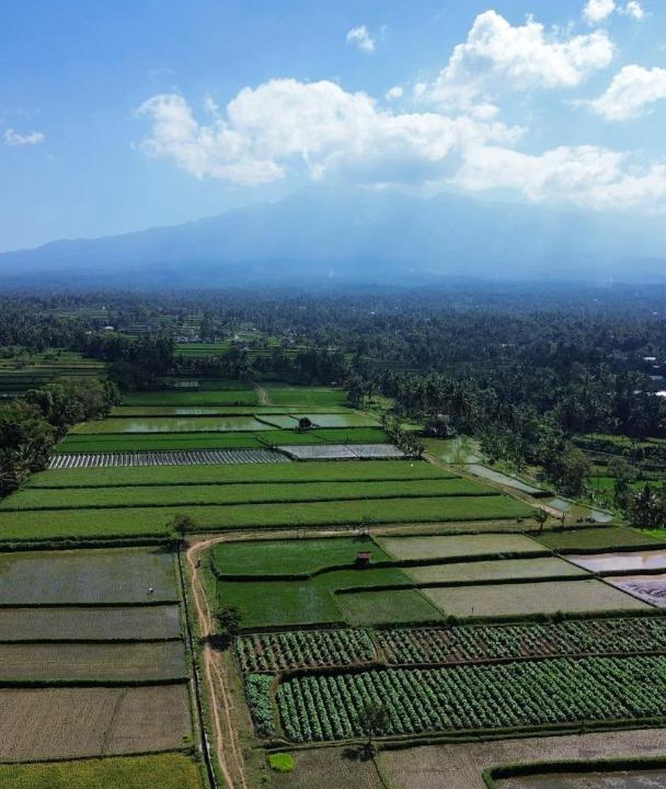Photo of Others in Tetebatu