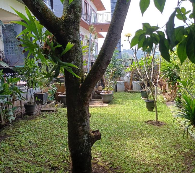 Photo of Others in Ciumbuleuit