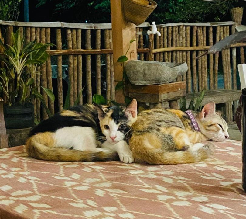 Photo of Others in Karimunjava