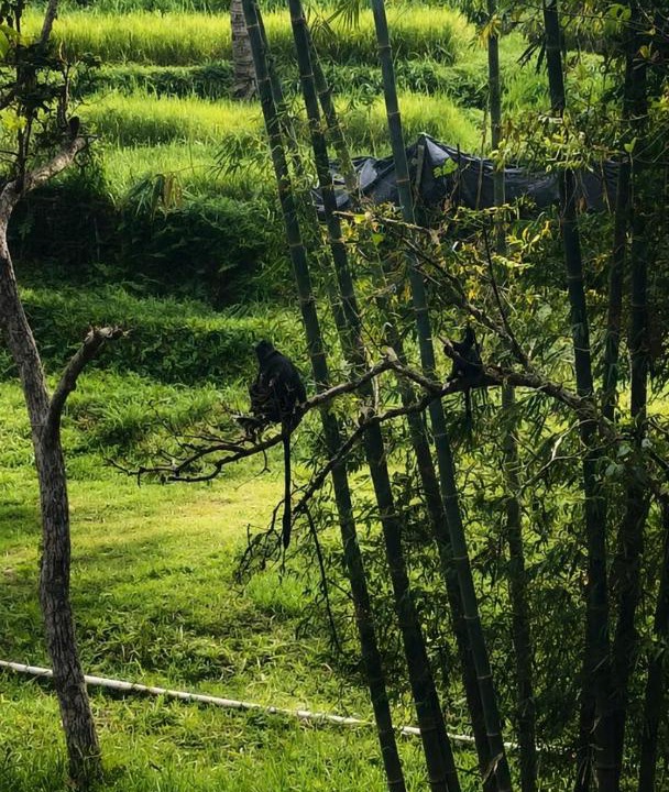 Photo of Others in Kecamatan Pringgasela