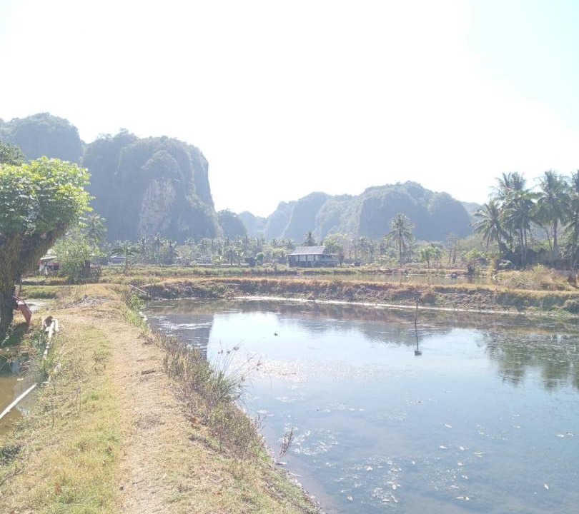 Photo of Others in Bantimurung