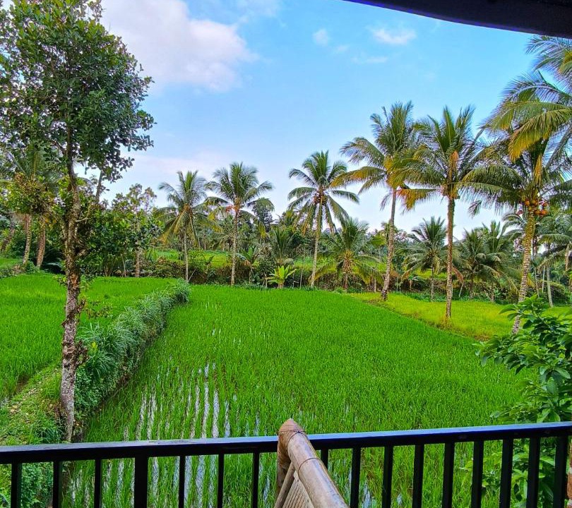 Photo of Others in Tetebatu