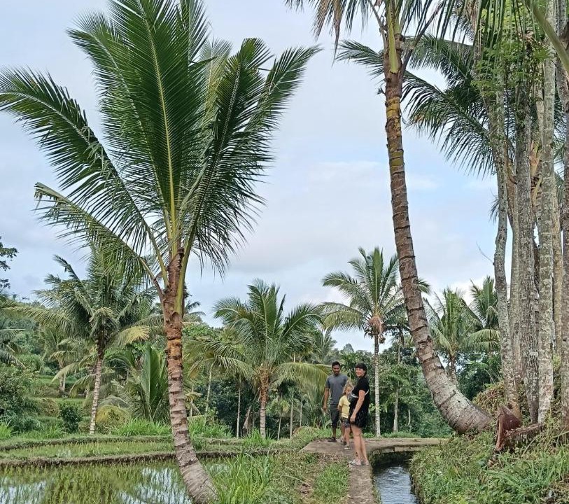 Photo of Others in Tetebatu