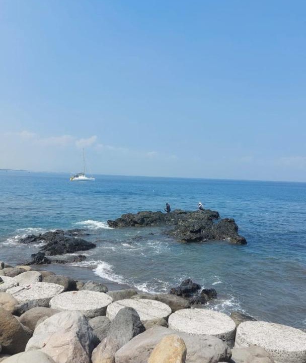 Photo of Others in Senggigi