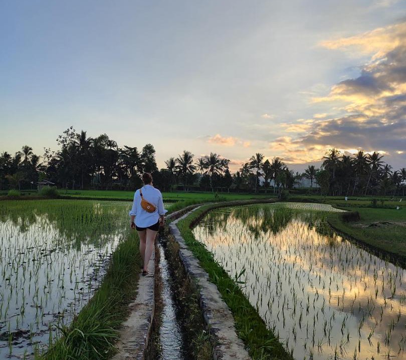 Photo of Others in Tetebatu