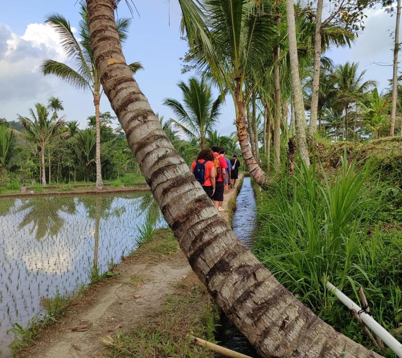 Photo of Others in Tetebatu