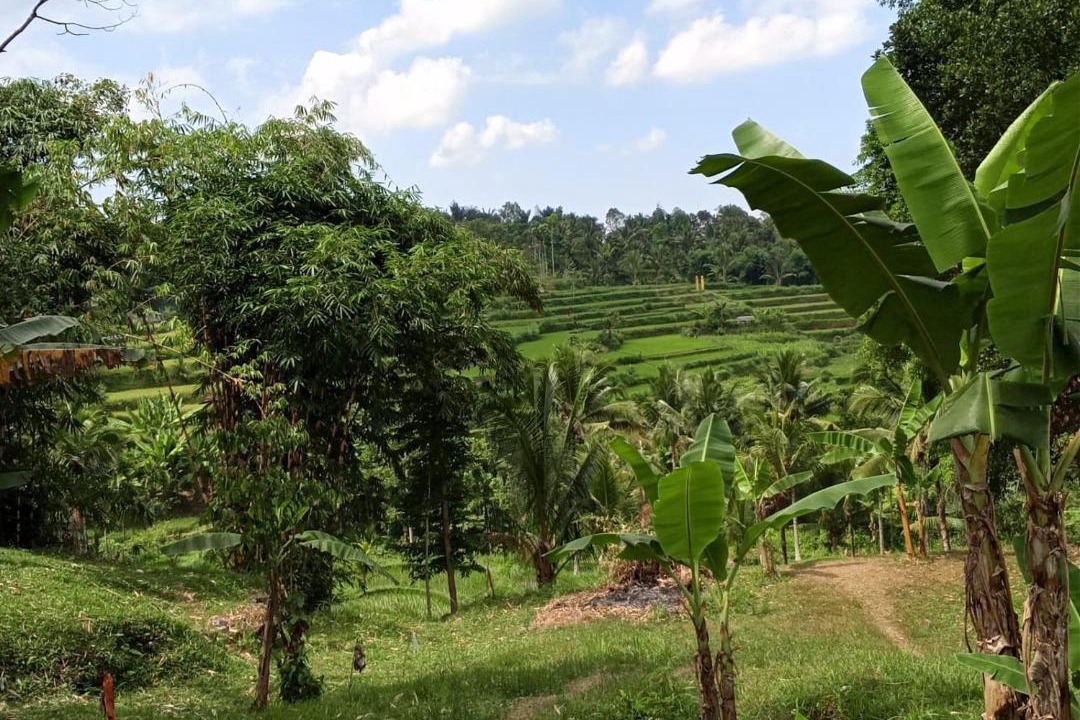 Photo of Others in Tetebatu