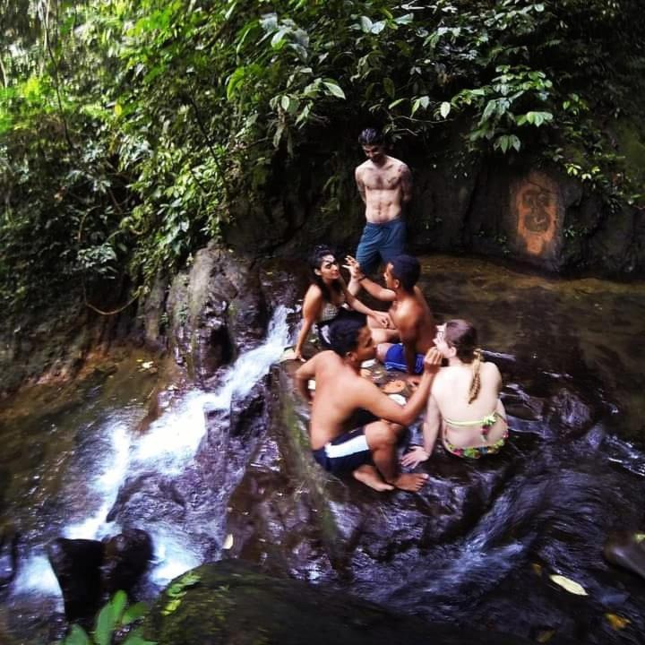 Photo of Others in Bukit Lawang