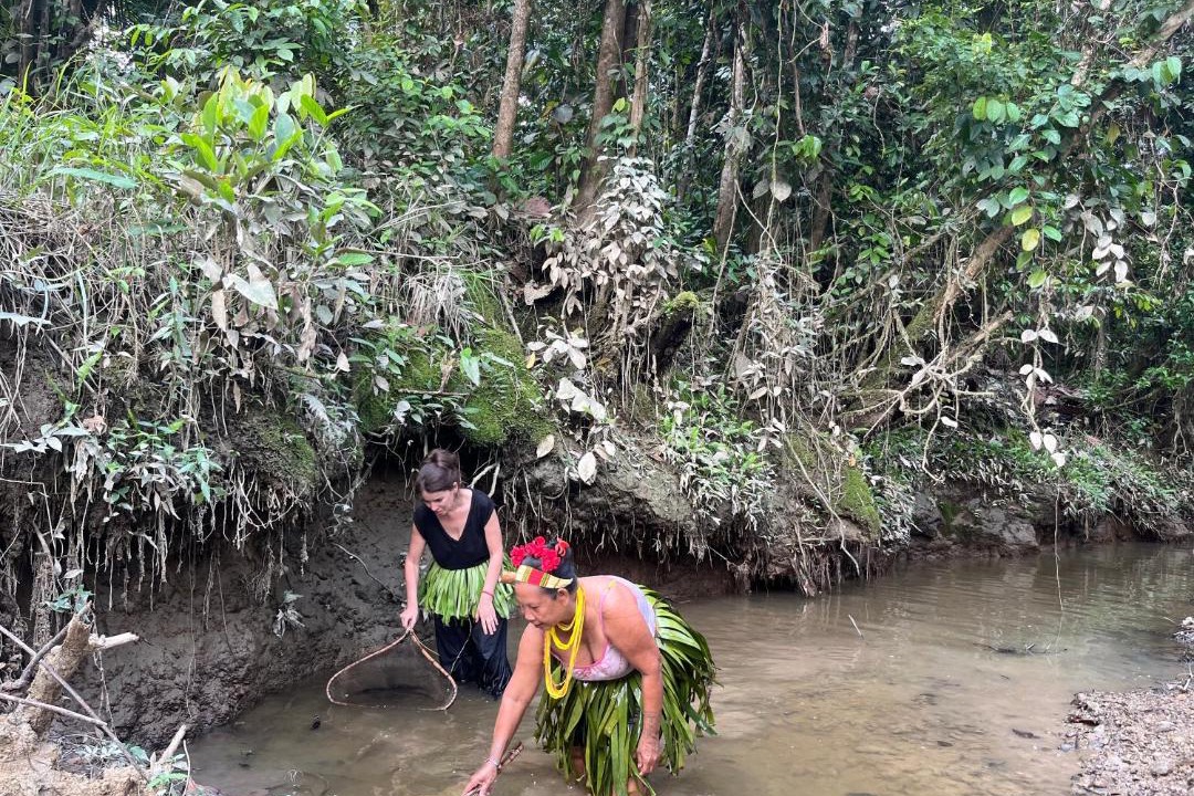 Photo of Others in Mentawai Islands