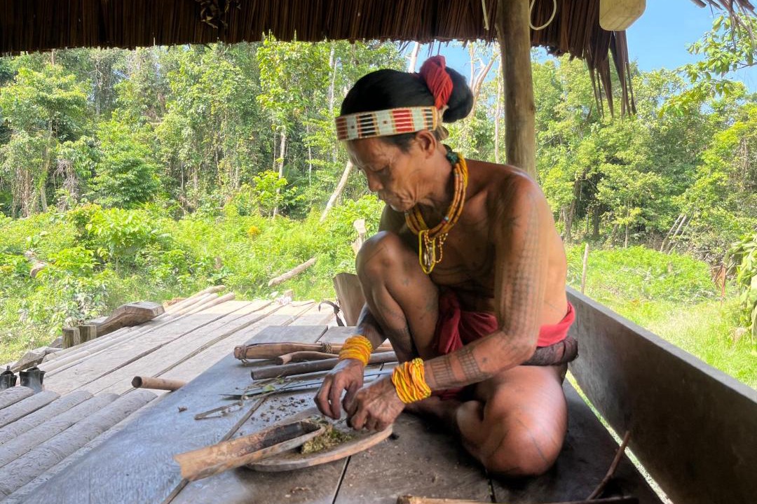 Photo of Others in Mentawai Islands