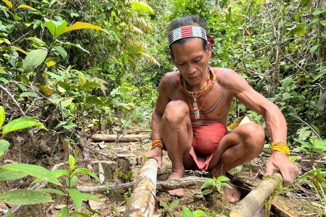 Photo of Others in Mentawai Islands
