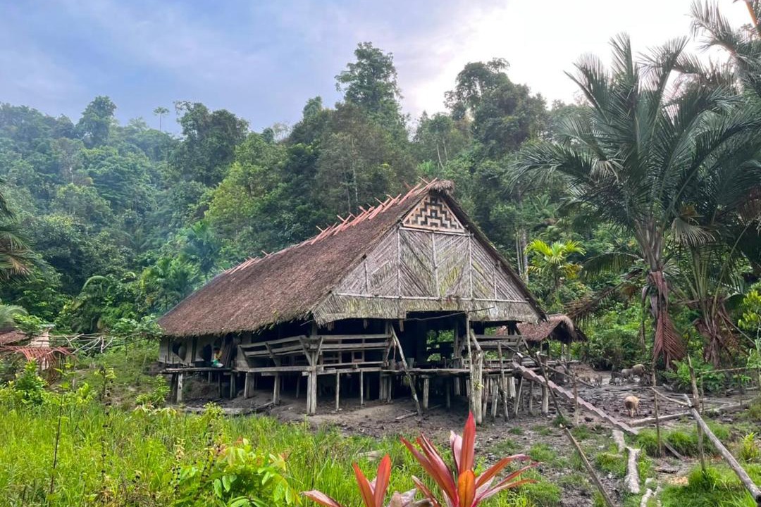 Photo of Others in Mentawai Islands