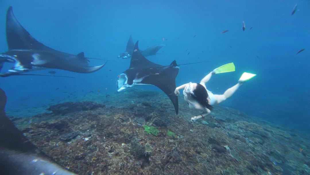 Photo of Others in Penida Island