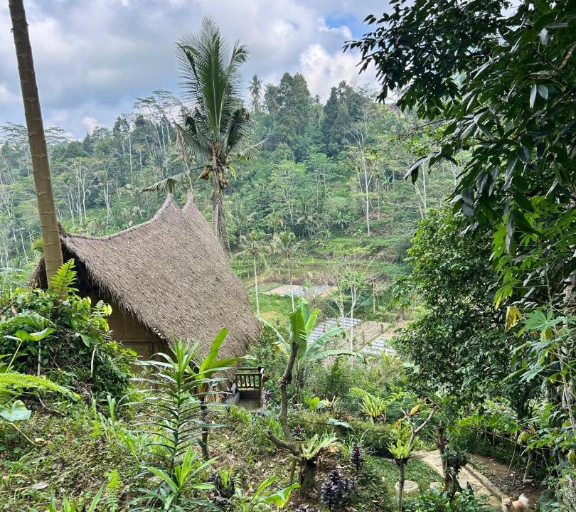 Photo of Others in Susut