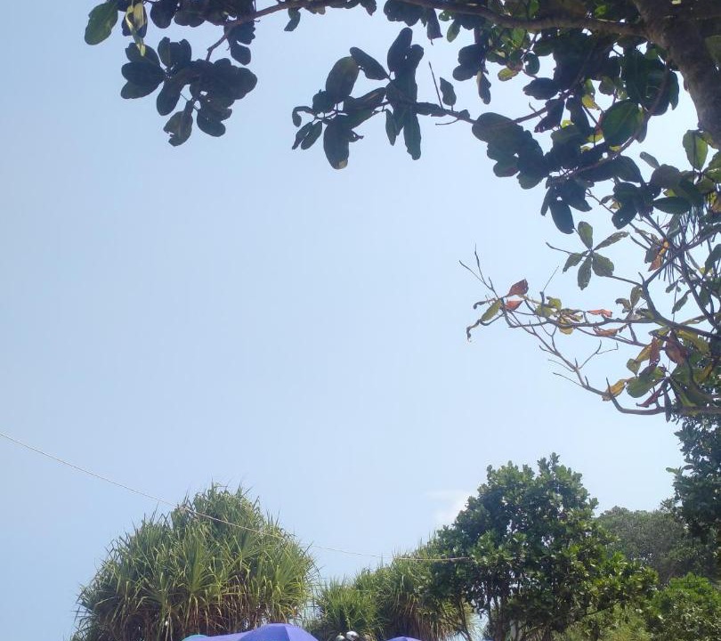 Photo of Others in Cimerak