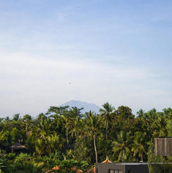 Photo of Others in Petulu