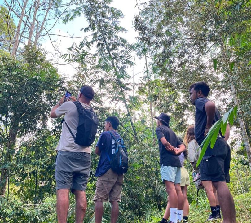 Photo of Outdoor in Tetebatu