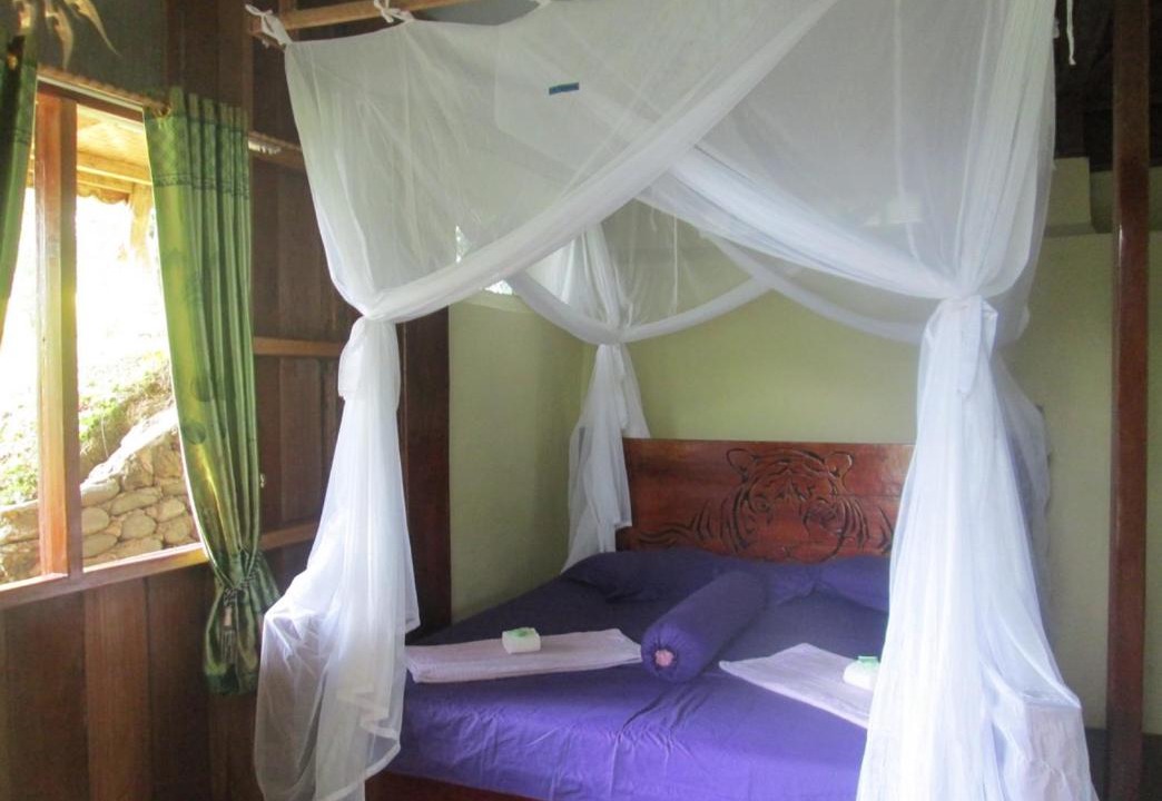 Photo of Others in Bukit Lawang