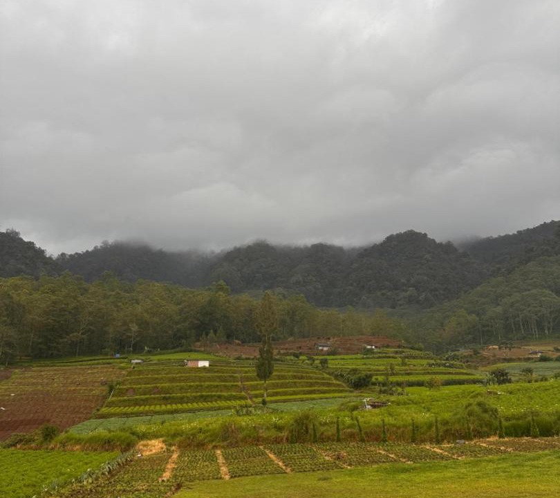 Photo of Others in Batu