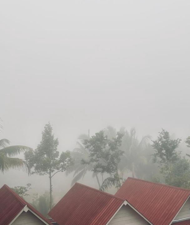 Photo of Others in Tetebatu
