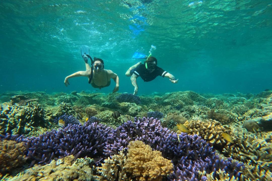 Photo of Others in Gili Meno