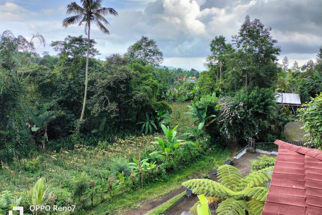 Photo of Others in Besakih