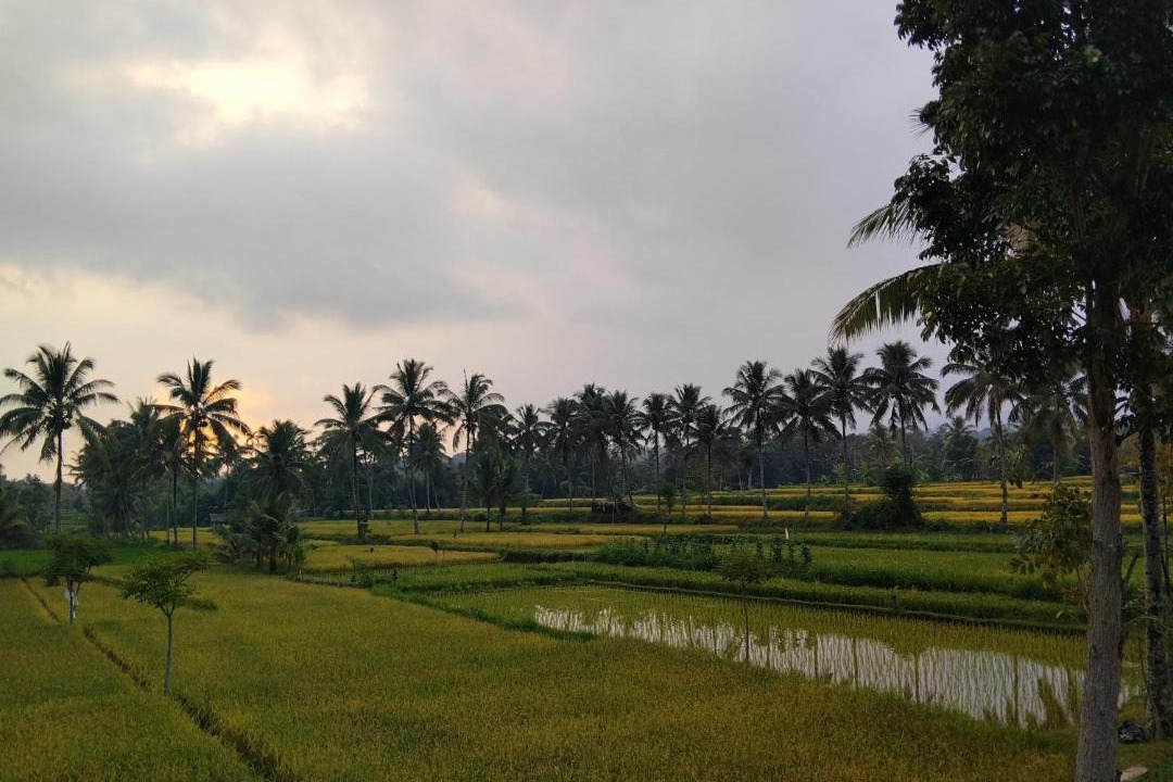 Photo of Others in Tetebatu