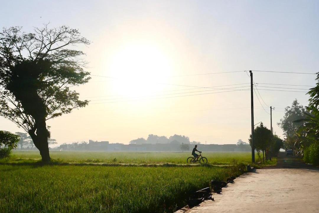 Photo of Others in Klaten