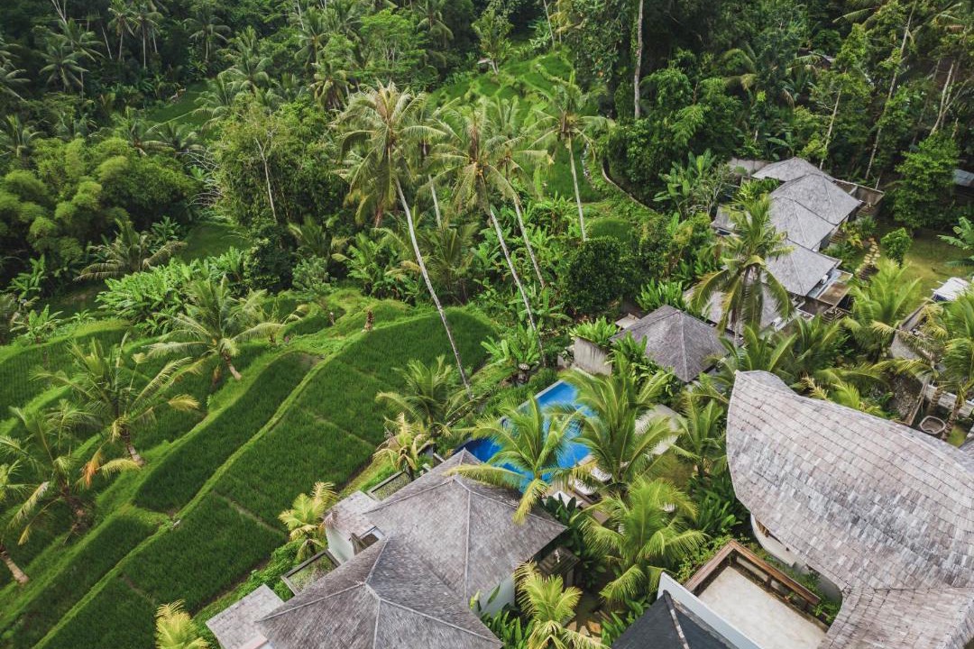 Photo of Others in Payangan