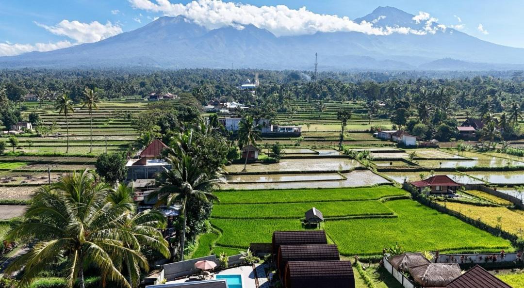 Photo of Others in Tetebatu