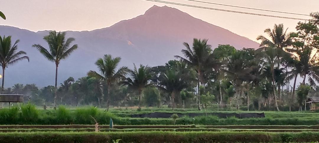 Photo of Others in Tetebatu