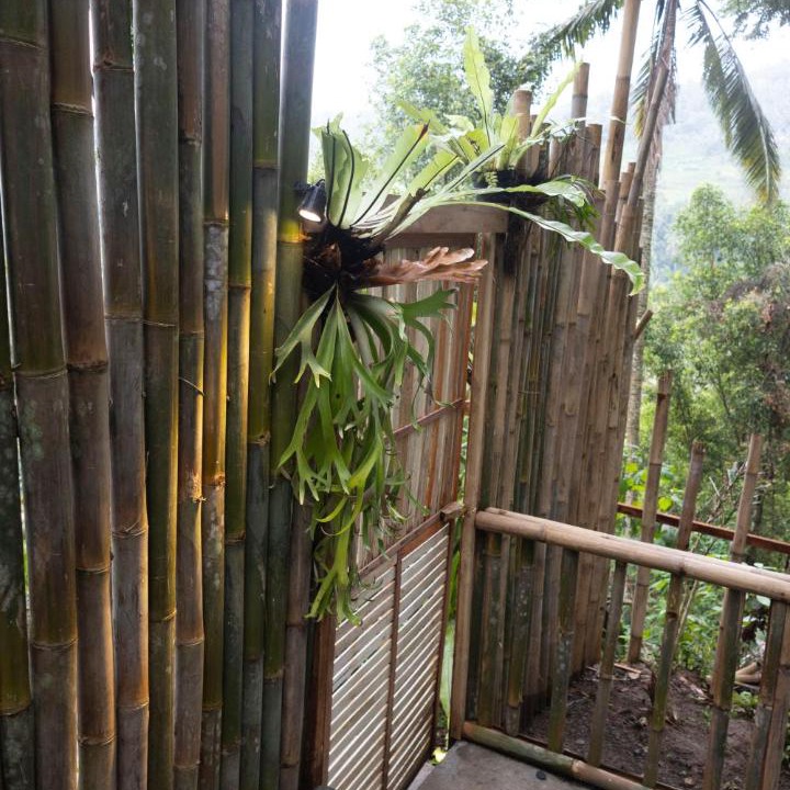 Photo of Others in Melayang