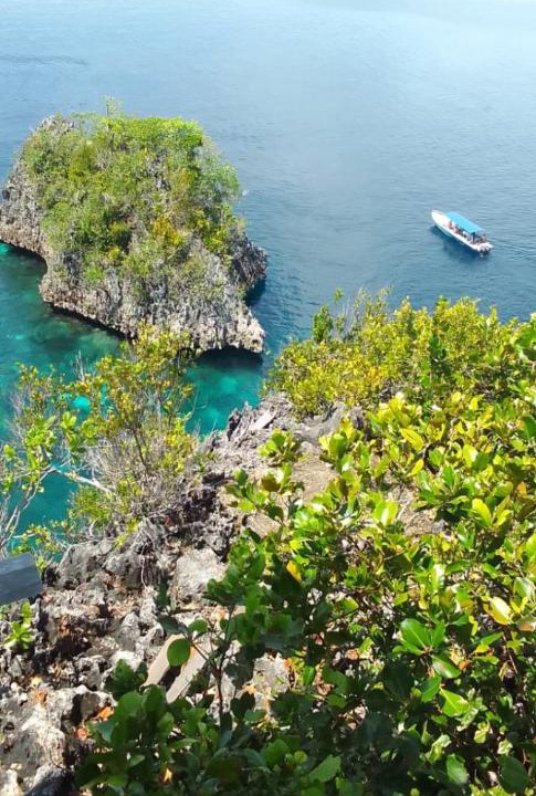Photo of Others in Raja Ampat