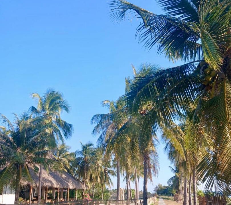 Photo of Others in Rote Island