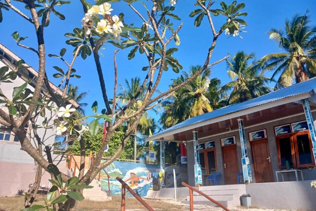 Photo of Others in Rote Island