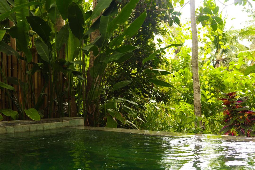 Photo of Others in Penida Island