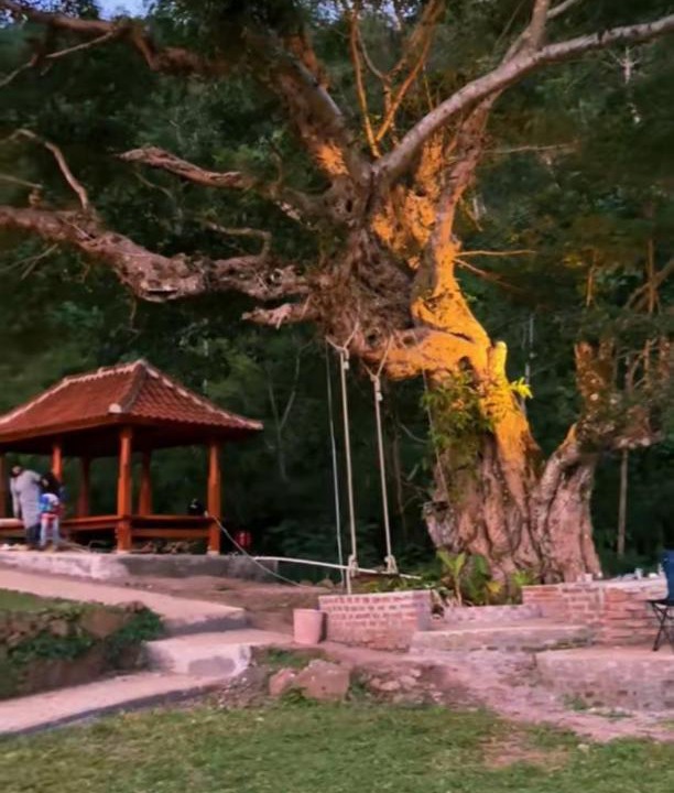 Photo of Outdoor in Kecamatan Sembalun