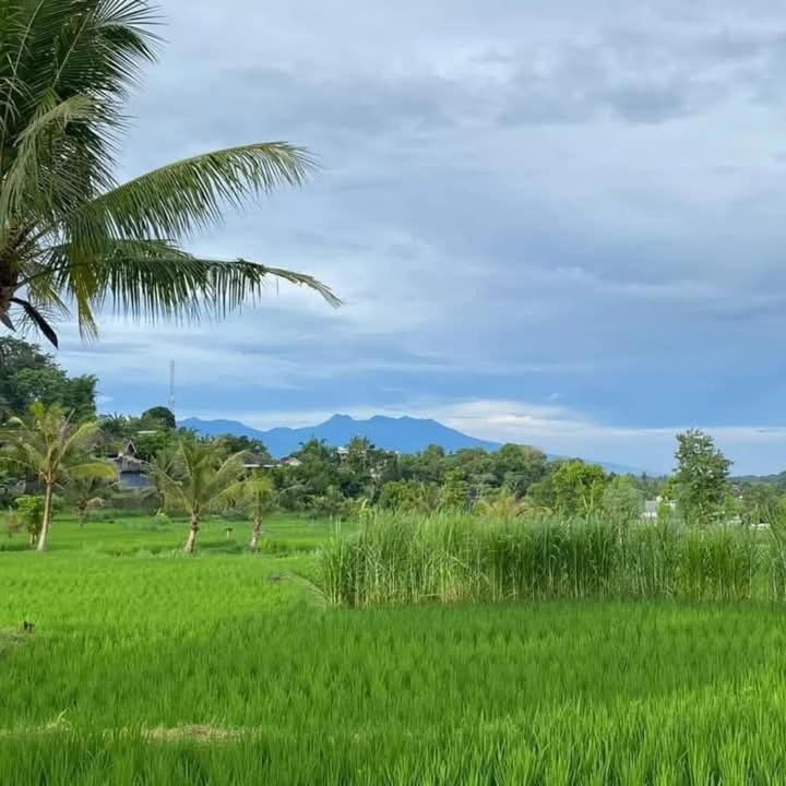 Photo of Others in Kecamatan Terara