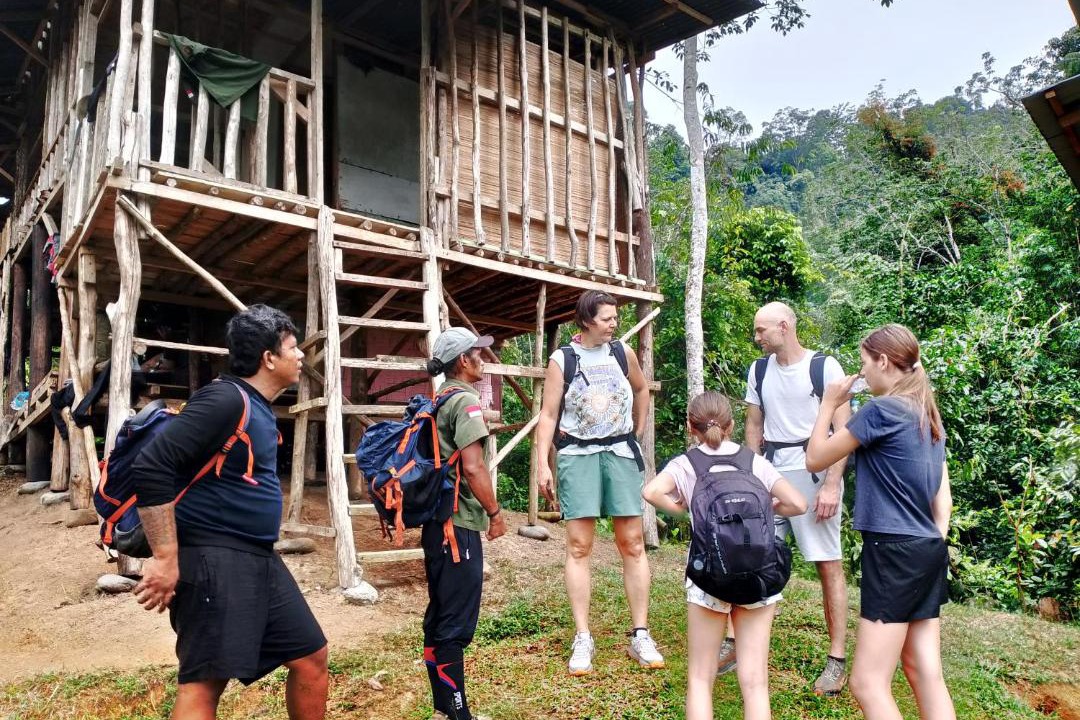 Photo of Others in Bukit Lawang
